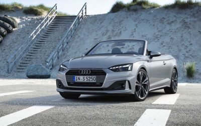 Ranger White – 2022